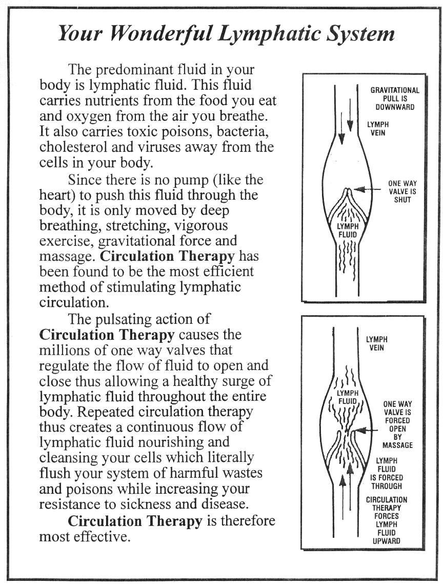 Shocking Lymphatic System Facts You Need To Know - f0zx97x